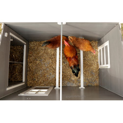 Poulailler en plastique ECO Barney Kerbl Hobbyfarming Poulailler en plastique ECO Barney Kerbl Hobbyfarming