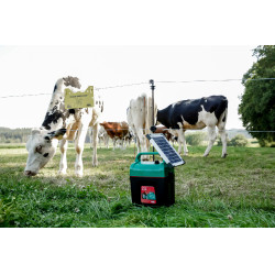 Power Shock B 290 AKO Vert Power Shock B 290 AKO Vert