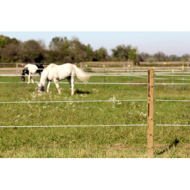 Premium Horse Wire AKO Premium Horse Wire AKO