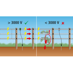 Pulse Flash AKO Zwart Pulse Flash AKO Zwart
