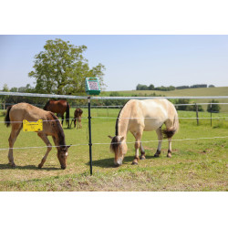 PlatinumLine AKO afrasteringslint Wit / blauw