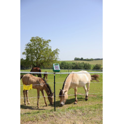 PlatinumLine AKO afrasteringslint Wit / blauw