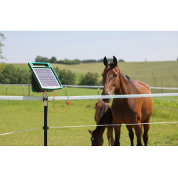 Ruban de clôture PlatinumLine AKO Blanc / bleu