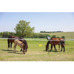 PlatinumLine AKO afrasteringslint Wit / blauw