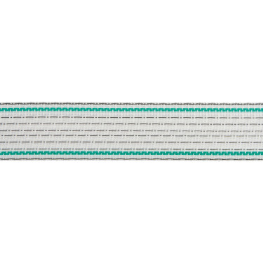 Ruban de clôture Premium Plus AKO Blanc / vert
