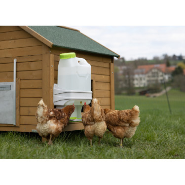 Abreuvoir pour volaille SmartCoop Kerbl Hobbyfarming Abreuvoir pour volaille SmartCoop Kerbl Hobbyfarming