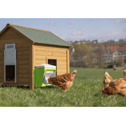 Nourrisseur avec dispositif anti-nuisibles Kerbl Hobbyfarming Vert / gris clair