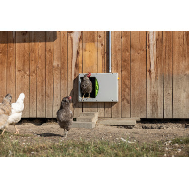 Porte de poulailler SmartCoop Kerbl Hobbyfarming Porte de poulailler SmartCoop Kerbl Hobbyfarming