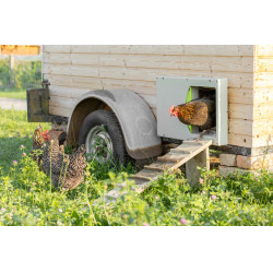 Porte de poulailler SmartCoop Kerbl Hobbyfarming Gris