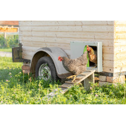 Porte de poulailler SmartCoop Kerbl Hobbyfarming Gris