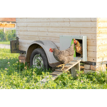 SmartCoop Kerbl Hobbyfarming kippenhokdeur Grijs