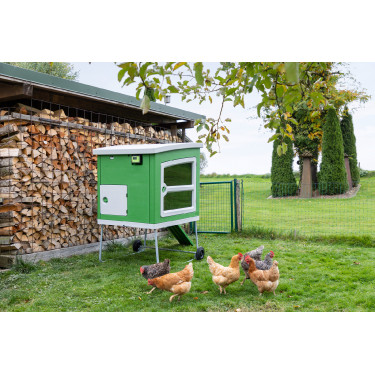 SmartCoop-bedieningsunit Kerbl Hobbyfarming Groen SmartCoop-bedieningsunit Kerbl Hobbyfarming Groen