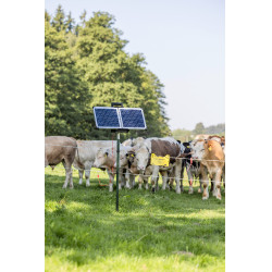 Sun Power S 2400 smart AKO Vert