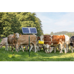 Sun Power S 2400 smart AKO Vert