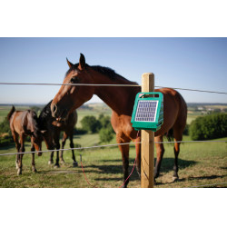 Sun Power S 250 AKO Vert