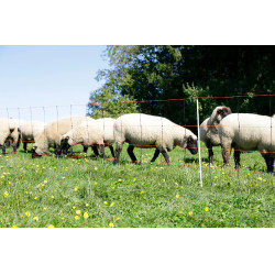 TitanLight Net Kerbl Hobbyfarming Orange / noir