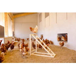 Tour d’escalade pour poules Kerbl Hobbyfarming Bois Beige Tour d’escalade pour poules Kerbl Hobbyfarming Bois Beige
