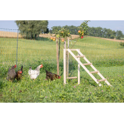 Tour d’escalade pour poules Kerbl Hobbyfarming Bois Beige Tour d’escalade pour poules Kerbl Hobbyfarming Bois Beige