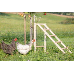 Tour d’escalade pour poules Kerbl Hobbyfarming Bois Beige Tour d’escalade pour poules Kerbl Hobbyfarming Bois Beige