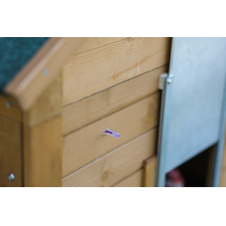 Unité de contrôle automatique pour porte de poulailler Kerbl Hobbyfarming Vert