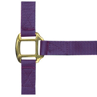 Licol nylon doublé cuir Norton Violet Licol nylon doublé cuir Norton Violet