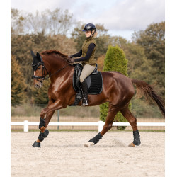 Guêtres de dressage Waldhausen Comfort Fit Noir