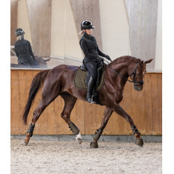 Guêtres de dressage Waldhausen Comfort Fit Brun vert Marron Guêtres de dressage Waldhausen Comfort Fit Brun vert Marron