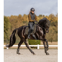 Dressuurbeschermers Waldhausen Comfort Fit Bruin groen