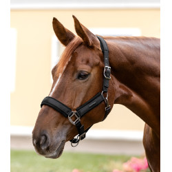 Halter Waldhausen Soft Touch Zwart