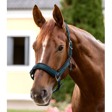 Halter Waldhausen Soft Touch Petrolblauw Halter Waldhausen Soft Touch Petrolblauw