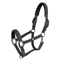 Halter Waldhausen St. Gallen Zwart