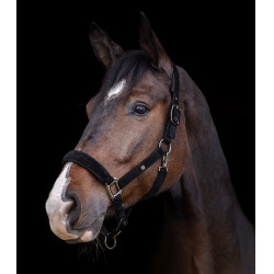 Halter Waldhausen St. Gallen Zwart