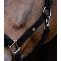 Halter Waldhausen St. Gallen Zwart