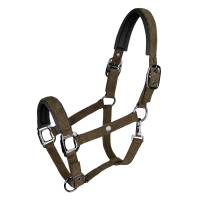 Halter Waldhausen St. Gallen Bruin groen