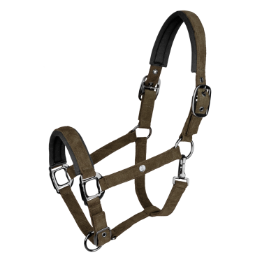 Licol Waldhausen St. Gallen Brun vert Marron