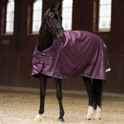Paddockdeken Imperial Riding Super-dry 0gr Vijg Violet Paddockdeken Imperial Riding Super-dry 0gr Vijg Violet