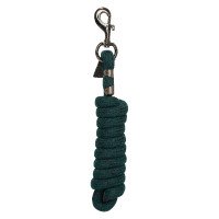 Longe d'attache HV Polo Essential mousqueton simple Vert canard