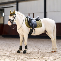 Zadelpad Imperial Riding Rebel dressuur Wit