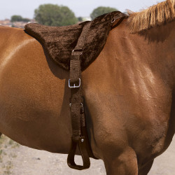 Norton Comfort barebackpad