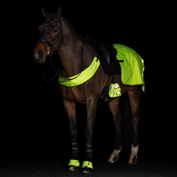 Chauffe-orteils pour étriers Imperial Riding Reflective par 2 Jaune