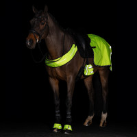Teendekken voor stijgbeugels Imperial Riding Reflective per 2 Bloemenprint Motieven