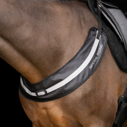 Collier de chasse Imperial Riding Luminous Noir