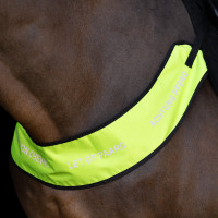 Reflecterende borsttuig Imperial Riding Geel