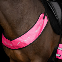 Collier de chasse Imperial Riding Reflective Rose