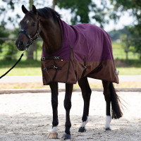 Couverture d'extérieur Imperial Riding Customized High Neck polaire Bordeaux / marron clair Couverture d'extérieur Imperial Riding Customized High Neck polaire Bordeaux / marron clair