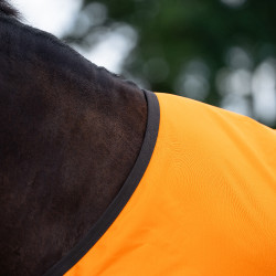 Couverture d'extérieur Imperial Riding Customized sans couvre-cou Orange / marron foncé Multi-couleurs Couverture d'extérieur Imperial Riding Customized sans couvre-cou Orange / marron foncé Multi-couleurs