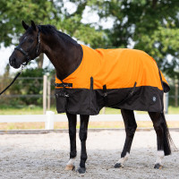 Couverture d'extérieur Imperial Riding Customized sans couvre-cou Orange / marron foncé Multi-couleurs