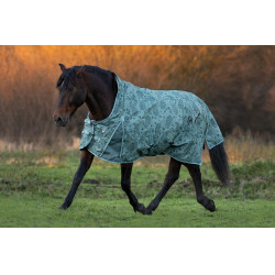 Paddockdeken Imperial Riding Super-dry AOP 400 g Saliegroen Paddockdeken Imperial Riding Super-dry AOP 400 g Saliegroen