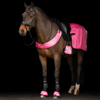 Imperial Riding reflecterende zadeldeken voor de achterhand Neonroze Imperial Riding reflecterende zadeldeken voor de achterhand Neonroze