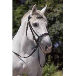Bridon Excelsior Cheval de Trait Noir
